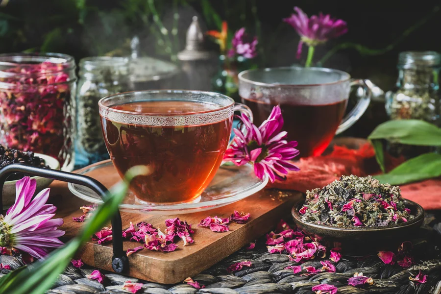 Wild Canadian berries with herbal tea and mindfulness journal